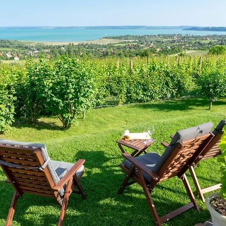 In - Balaton 54662 扎马迪